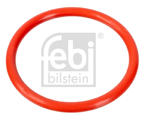 Gasket, coolant flange
